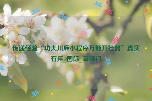 传递经验“功夫川麻小程序万能开挂器”真实有挂_国际_喜临门