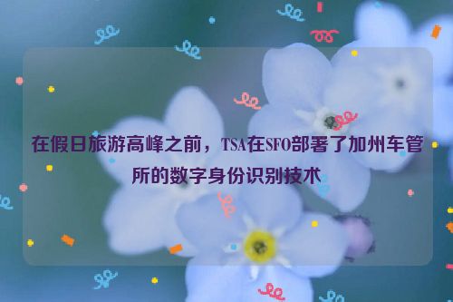 在假日旅游高峰之前，TSA在SFO部署了加州车管所的数字身份识别技术