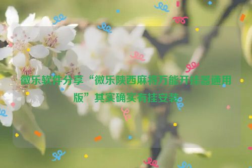 微乐软件分享“微乐陕西麻将万能开挂器通用版”其实确实有挂安装