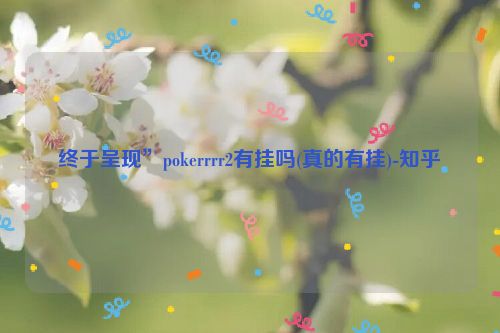 终于呈现”pokerrrr2有挂吗(真的有挂)-知乎