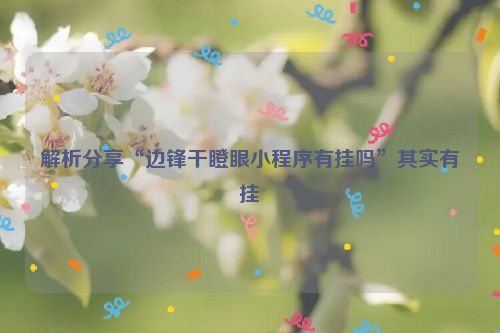 解析分享“边锋干瞪眼小程序有挂吗”其实有挂