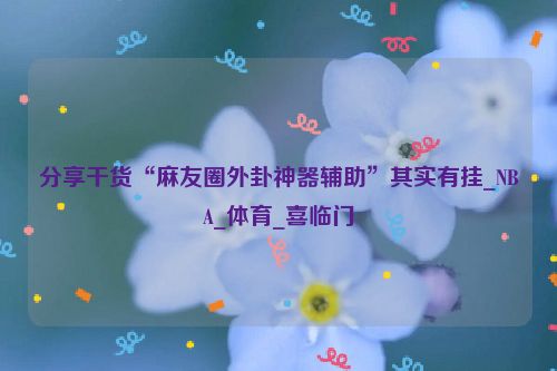 分享干货“麻友圈外卦神器辅助”其实有挂_NBA_体育_喜临门