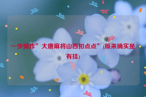 一步操作”大唐麻将山西扣点点”(原来确实是有挂)