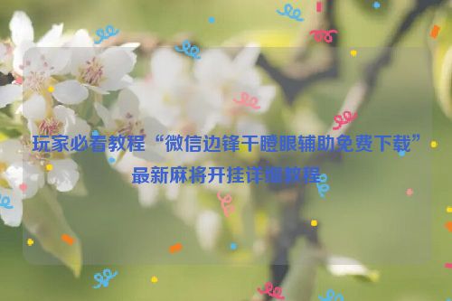 玩家必看教程“微信边锋干瞪眼辅助免费下载”最新麻将开挂详细教程