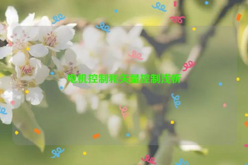 电机控制和矢量控制浅析