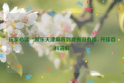 玩家必读“微乐天津麻将到底有没有挂- 开挂百科讲解