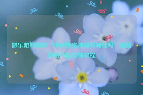 微乐游戏教你“小程序雀神麻将有挂吗”最新麻将开挂详细教程