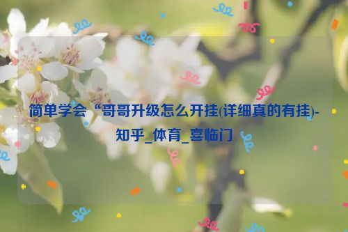 简单学会“哥哥升级怎么开挂(详细真的有挂)-知乎_体育_喜临门