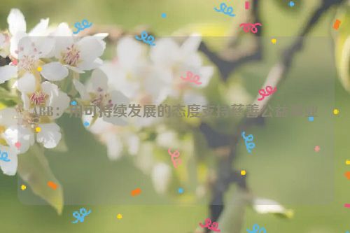 ABB：用可持续发展的态度支持慈善公益事业
