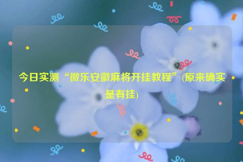今日实测“微乐安徽麻将开挂教程”(原来确实是有挂)