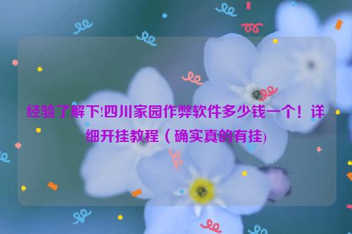 经验了解下!四川家园作弊软件多少钱一个！详细开挂教程（确实真的有挂)