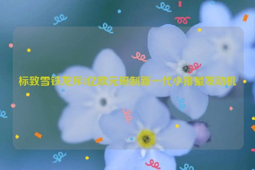 标致雪铁龙斥3亿欧元研制新一代小排量发动机