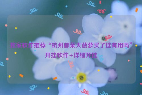 独家软件推荐“杭州都莱大菠萝买了挂有用吗”开挂软件+详细开挂