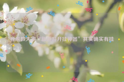 我来教大家“新道游开挂神器”其实确实有挂