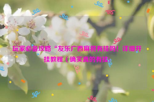 玩家必备攻略“友乐广西麻将有挂吗！详细开挂教程（确实真的有挂)