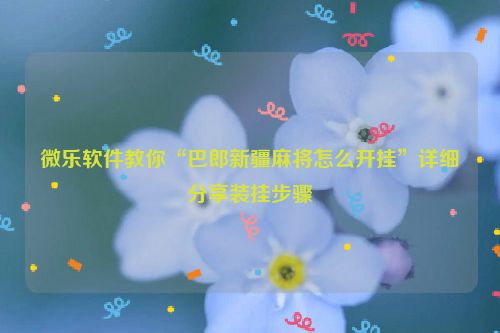微乐软件教你“巴郎新疆麻将怎么开挂”详细分享装挂步骤