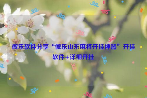 微乐软件分享“微乐山东麻将开挂神器”开挂软件+详细开挂