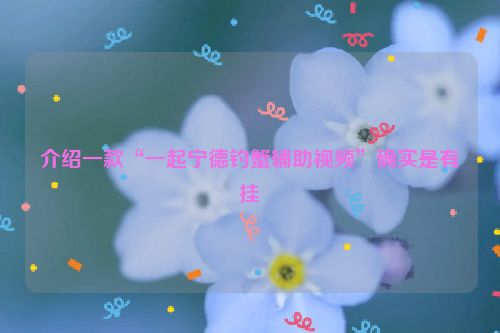 介绍一款“一起宁德钓蟹辅助视频”确实是有挂
