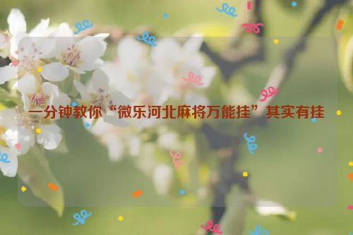 一分钟教你“微乐河北麻将万能挂”其实有挂