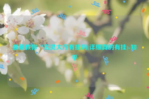 最新教你“玄灵大厅有挂吗(详细真的有挂)-知乎