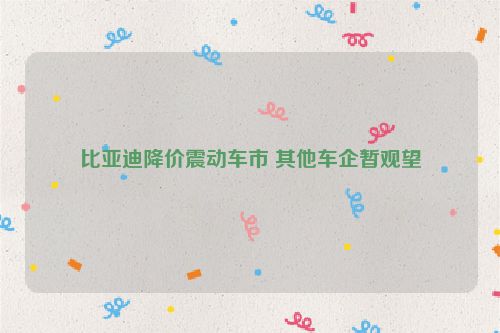 比亚迪降价震动车市 其他车企暂观望