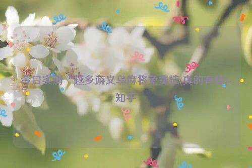 今日实测“越乡游义乌麻将免费挂(真的有挂)-知乎