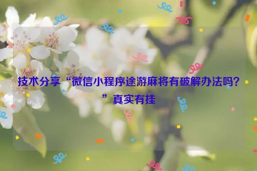 技术分享“微信小程序途游麻将有破解办法吗？”真实有挂