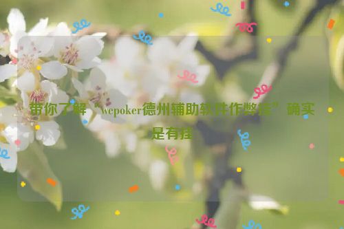带你了解“wepoker德州辅助软件作弊挂”确实是有挂