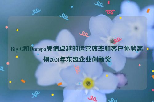 Big C和Osotspa凭借卓越的运营效率和客户体验赢得2024年东盟企业创新奖