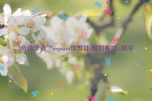 3分钟学会“wepoker作弊挂(真的有挂)-知乎