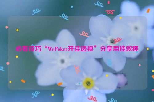 必看技巧“WePoker开挂透视”分享用挂教程