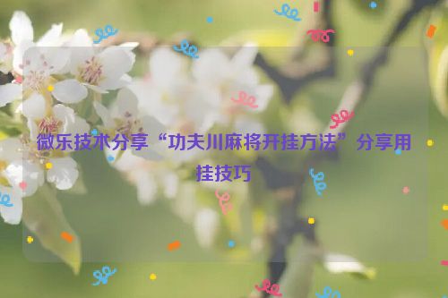 微乐技术分享“功夫川麻将开挂方法”分享用挂技巧