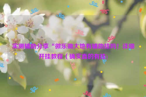 实测辅助分享“微乐锄大地有辅助挂吗！详细开挂教程（确实真的有挂)