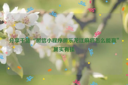 分享干货“微信小程序微乐龙江麻将怎么能赢”其实有挂