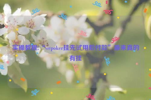 实操教程!“wepoker挂先试用后付款”原来真的有挂