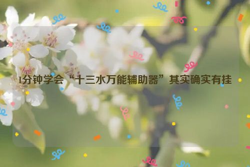 1分钟学会“十三水万能辅助器”其实确实有挂