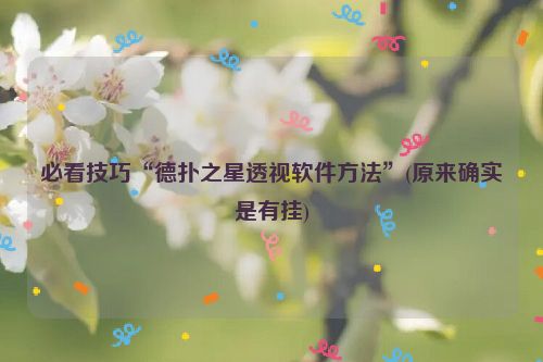 必看技巧“德扑之星透视软件方法”(原来确实是有挂)