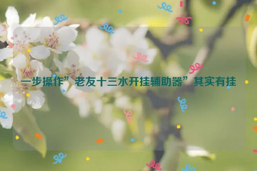 一步操作”老友十三水开挂辅助器”其实有挂