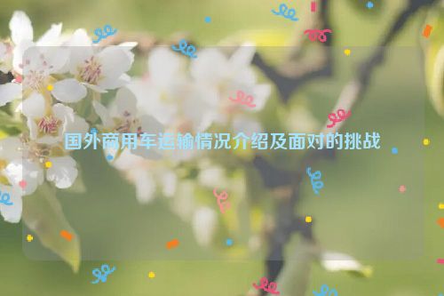国外商用车运输情况介绍及面对的挑战