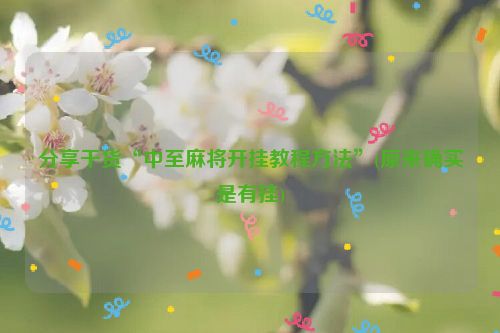 分享干货“中至麻将开挂教程方法”(原来确实是有挂)