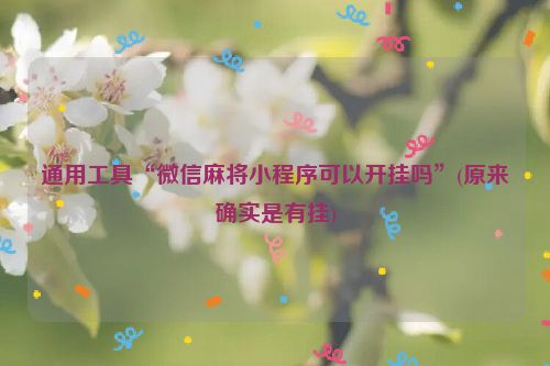 通用工具“微信麻将小程序可以开挂吗”(原来确实是有挂)