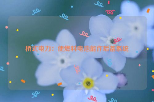 桥式电力：使燃料电池能作后备系统
