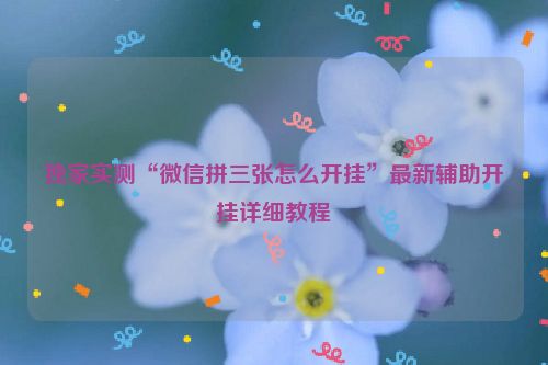 独家实测“微信拼三张怎么开挂”最新辅助开挂详细教程