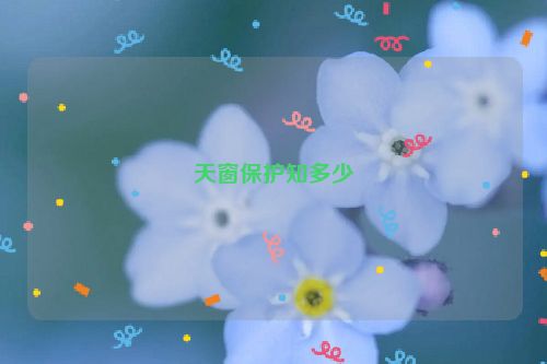 天窗保护知多少