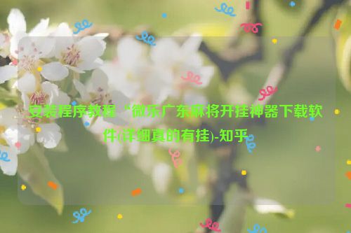 安装程序教程“微乐广东麻将开挂神器下载软件(详细真的有挂)-知乎