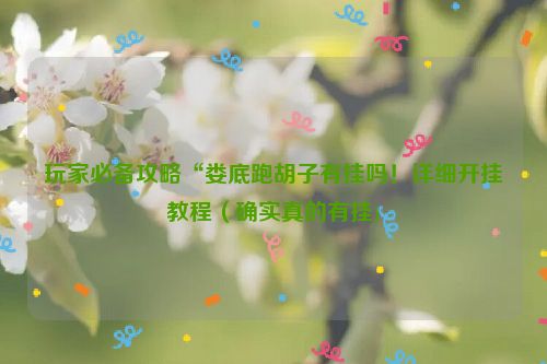 玩家必备攻略“娄底跑胡子有挂吗！详细开挂教程（确实真的有挂)