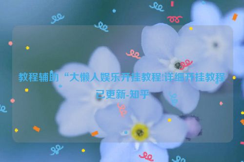 教程辅助“大懒人娱乐开挂教程!详细开挂教程已更新-知乎