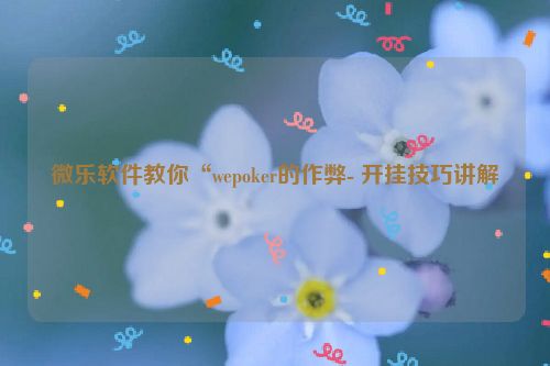 微乐软件教你“wepoker的作弊- 开挂技巧讲解