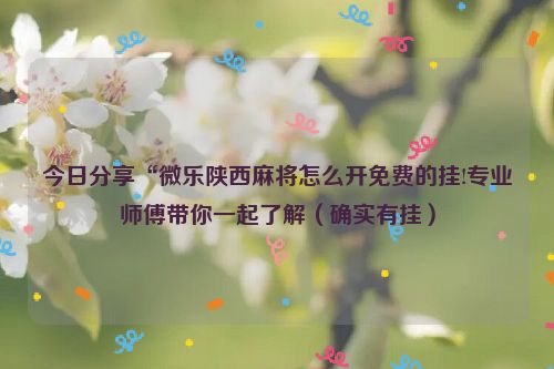 今日分享“微乐陕西麻将怎么开免费的挂!专业师傅带你一起了解（确实有挂）