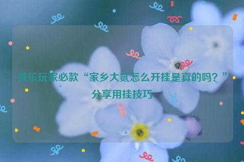 微乐玩家必款“家乡大贰怎么开挂是真的吗？”分享用挂技巧